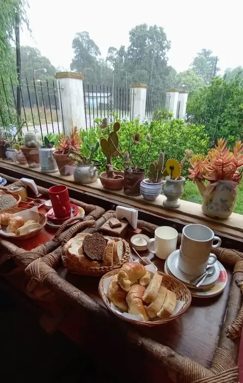 Desayuno junto a una ventana llena de macetas.