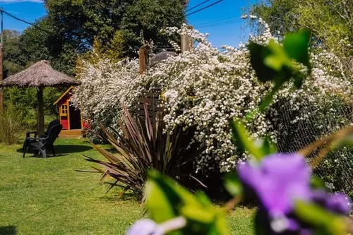 Arbustos en flor blanca y lavanda, con una sombrilla de paja.