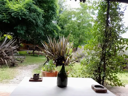 Mesa con tetera y una botella con flores, frente al parque arbolado.